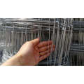 Farm Low Carbon Steel Wire Galvanized Wire Fence